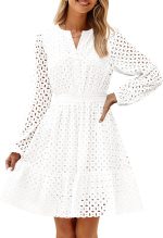 Women's  Long Sleeve Mini Dress Fall V Neck Hollow Out Eyelet Embroidery Ruffle A Line Swing Short Dresses